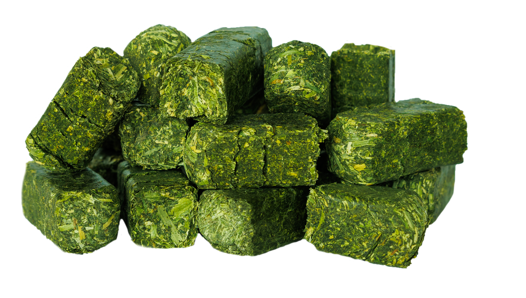 50 Lb Bag of Alfalfa Hay Cubes