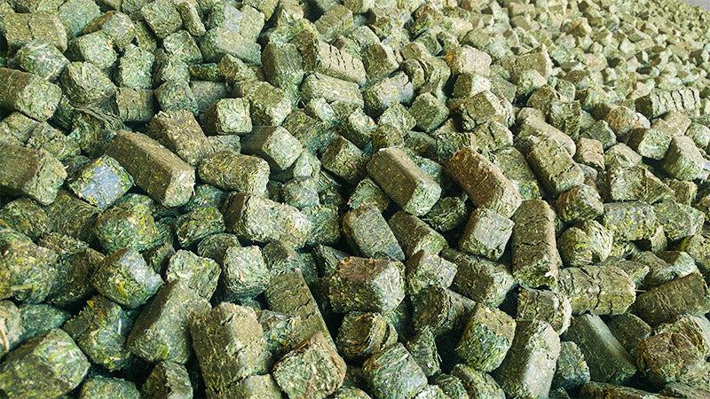 50 Lb bags of 3-Way Hay Mini Cubes